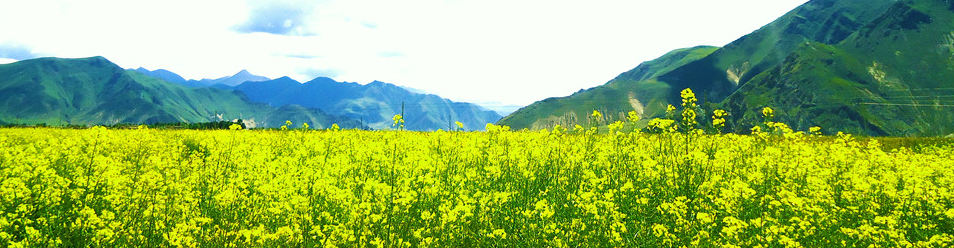 �������ξ�· ���}���ξ�·